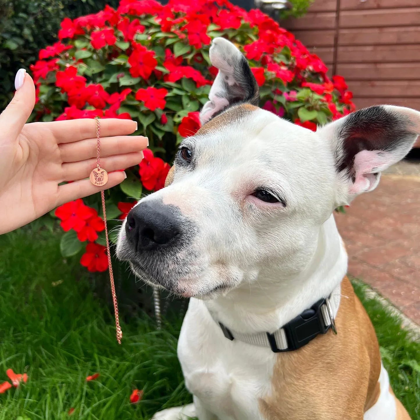 Spersonalizowany naszyjnik z wizerunkiem pupila